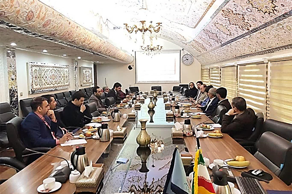 Representatives of Iran's Virtual Universities meet with the Deputy of CINVU