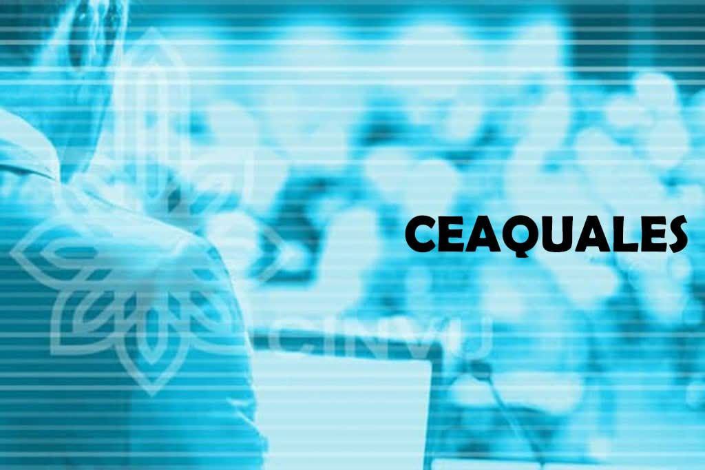 The CINVU Evaluation and Accreditation of Quality in Education Services Started Working
